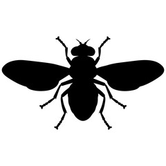 Fototapeta premium Silhouette of a Housefly in Black and White with Sharp Details and High Contrast