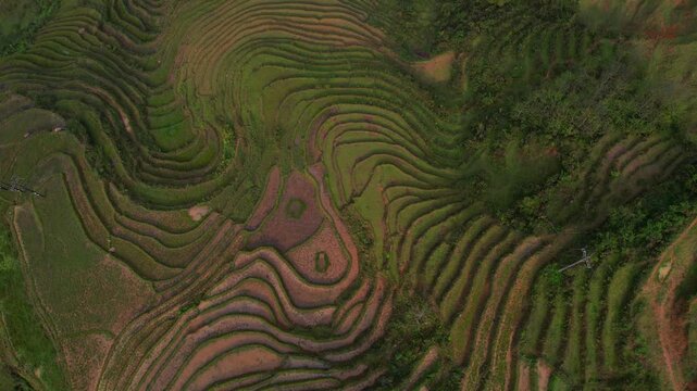Cinematic aerial video of mesmerizing lush green rice terraces in Sapa, Vietnam with surrounding tall mountains covered in fog with sun shinning through