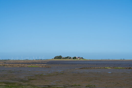 Distant view of Hallig Oland settlement across the Wadden Sea mudflats