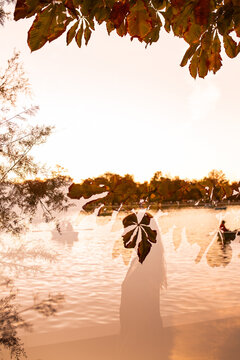 Silhouette of woman by lake at golden hour under leaves