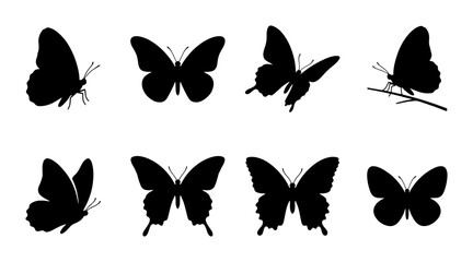 Butterfly Silhouettes Vector Set, Delicate Insect Icons, Nature Graphics, Black Winged Flyers © Imran