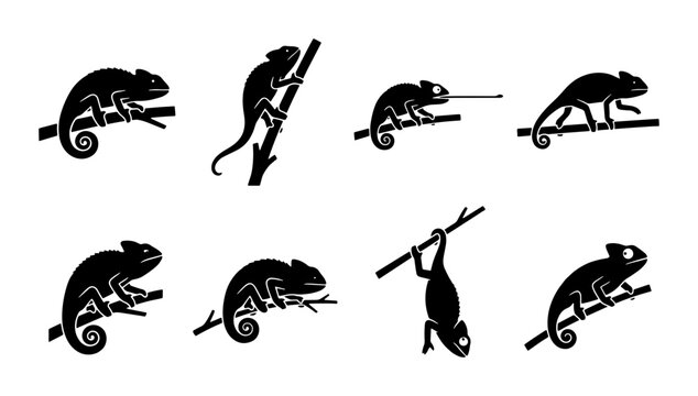 Chameleon Silhouettes Set, Reptile Icons Collection, Wildlife Vector Graphics, Animal Poses