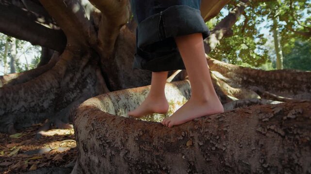 A child balances while walk on a big tree root in a park. Sunlight shines through the leaves above.