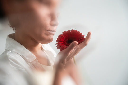 Spiritual latin woman holding red flower in soft light