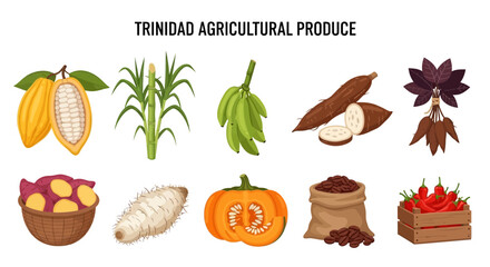 Fresh Harvest of Tropical Fruits and Vegetables in Flat Design Illustration © zyaa