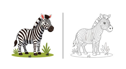 Obraz premium Cute zebra cartoon character on grass shown next to its black and white outline coloring page version, vector.