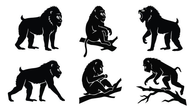Mandrill silhouettes in various poses on white background
