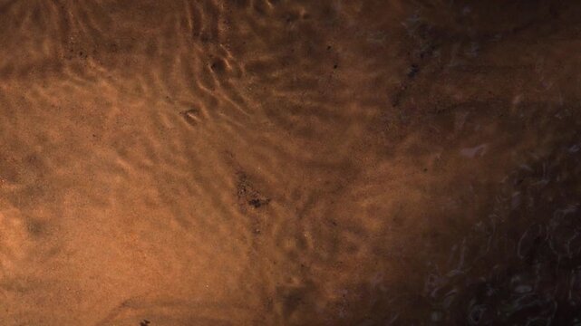 Top Down View of Shallow Forest Stream with Sandy Bottom. A static, high-angle, top-down 4K video of forest stream. Audio includes the soothing sound of running water band melodic birds chirping.