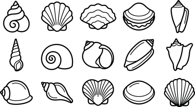 Collection of different seashell vector icons in minimalist black line art for beach themes