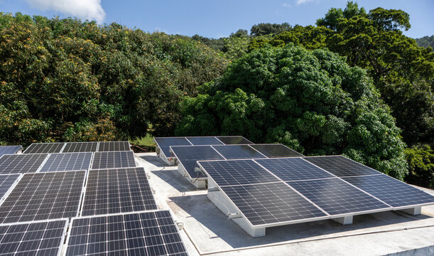 Solar panels on building roof with lush trees in background