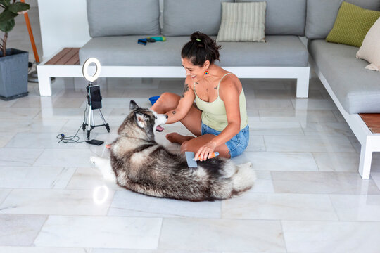 Woman filming husky grooming routine at home for vlog