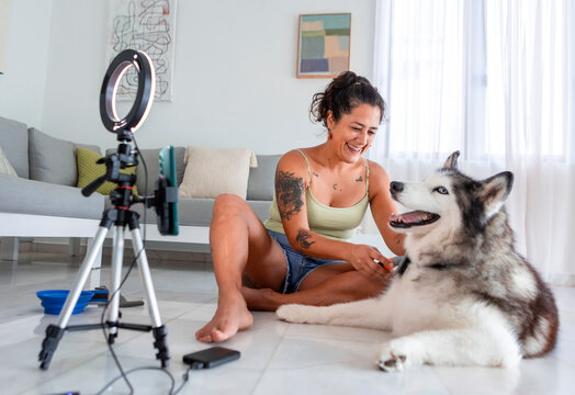 Woman grooming husky at home and filming dog care routine