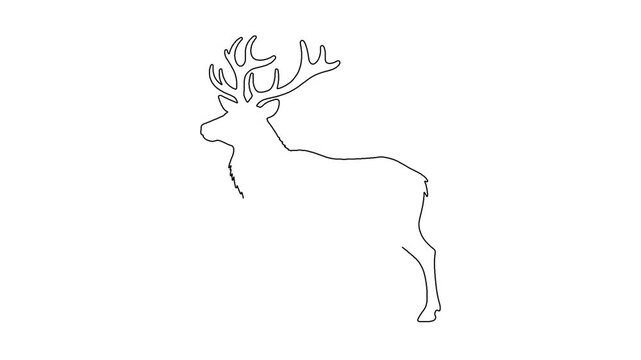 Continuous line drawing of elk deer head with antlers isolated on white background art.