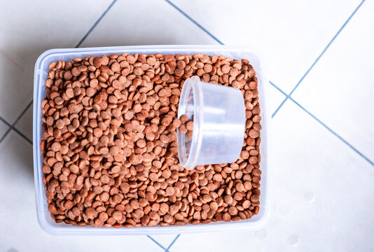 Close-up of dry dog food with plastic measuring cup