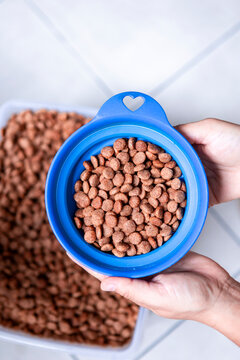 Hands holding blue bowl filled with dry dog food kibble