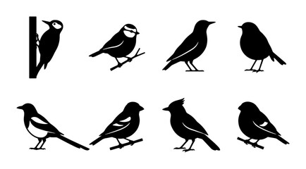 Diverse Bird Silhouettes Collection, Avian Vector Icons, Nature Wildlife Graphics, Ornithology Set © Akhi