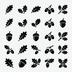 Oak leaves and acorn botanical silhouette icon set with oak tree plant life silhouette botanical seasonal collection isolated decoration environment wildlife branching illustration © Motiur