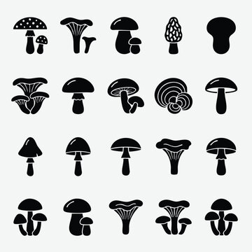 Set of wild mushroom silhouettes for nature and culinary design with mushroom silhouette botanical collection isolated culinary toadstool mycology woodland ingredient illustration