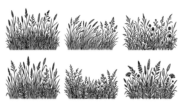 Decorative Grass Border Collection with Meadow Plants Natural Landscape Hand Drawn Illustration Set