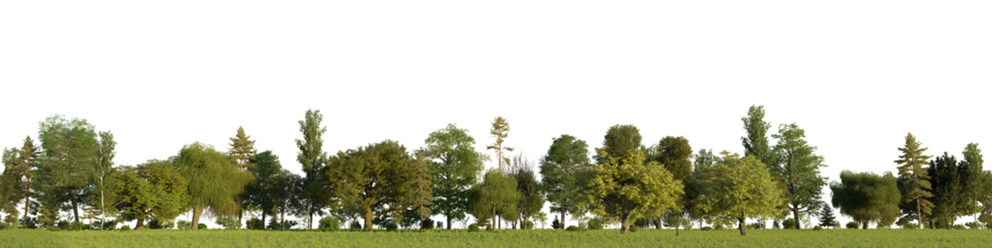 3D rendering of a seamless summer treeline with a grassy meadow and green trees. Transparent PNG Background