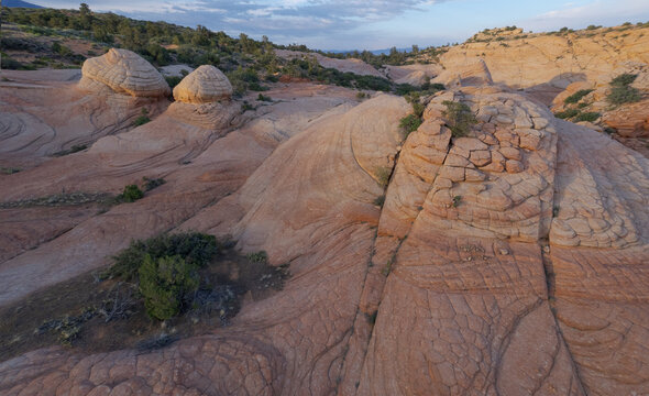 Desert sandstone formations at White Pocket, Utah, USA