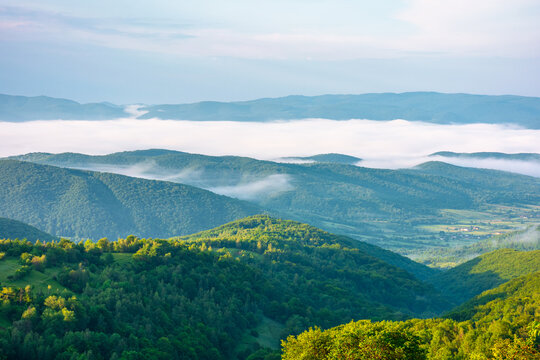 carpathian mountain landscape on a foggy morning. outdoor adventure with stunning view in morning light. mountainous countryside of ukraine in summer. rolling hills. scenic travel background