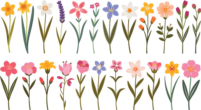 Hand drawn colorful spring wild flowers vector set with botanical floral stems and summer garden plant elements collection