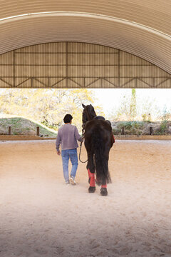 Man and horse walking in equestrian training arena