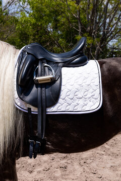 Close-up of equestrian gear on a horse's back