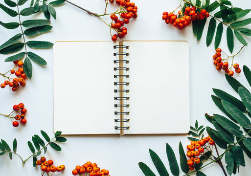 Autumn Rowan berry flat lay with notepad Mockup frame
