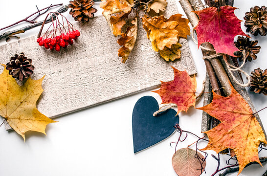 Autumn flat lay with dried leaves and board on white