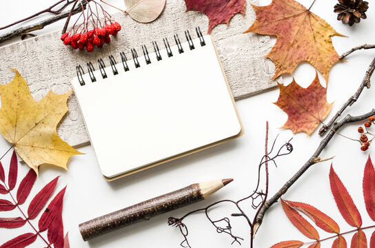 Autumn flat lay with notepad, maple and mountain ash