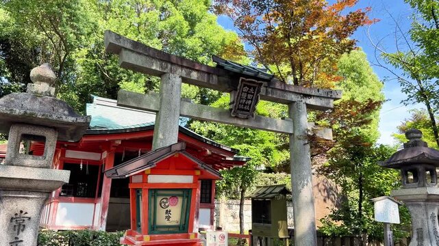Stone Torii Gate and Lanterns at a Traditional Japanese Shrine