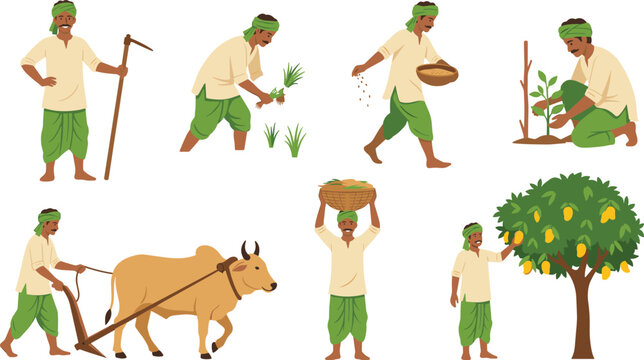 Indian farmer daily agricultural activities set with plowing harvesting sowing seeds planting and picking mangoes vector illustration