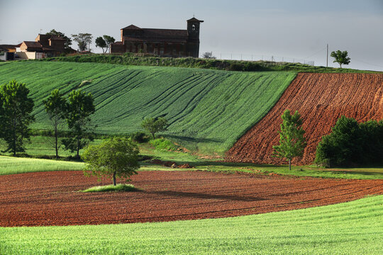 Rolling crop fields and rural chapel in Guadalajara, Spain