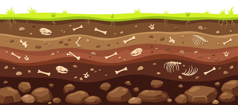 Soil layer cross section with dinosaur fossil bone and rock