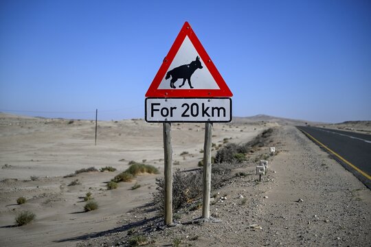 Sign warning of brown hyenas or beach wolves (Parahyaena brunnea), near L&uuml;deritz, Karas Region, Namibia