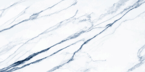 Obraz premium A detailed close-up of pristine white marble with elegant navy blue veins, showcasing the natural beauty and luxurious texture of the stone.