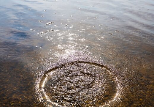 Water ripple effect from splashing liquid droplet