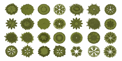 Collection Of Top Down View Trees Vector Illustration © Asish