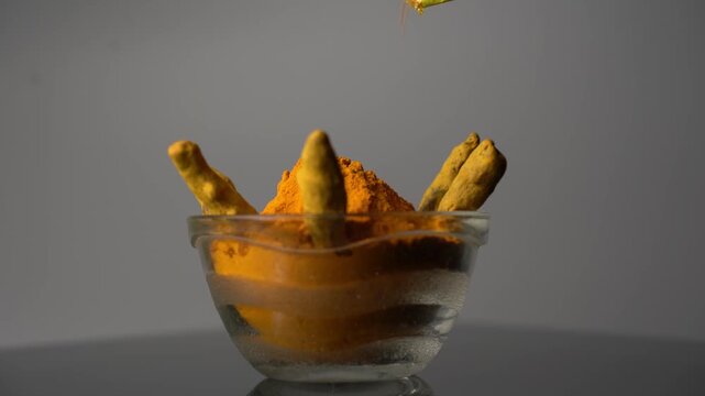 Raw Turmeric Root  Video Featuring Fresh Organic Rhizomes, Natural Ayurvedic Herb, Healthy Spice, and Traditional Indian Agriculture