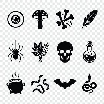 Set of witchcraft magic elements and spell components vector icons