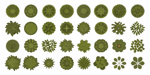 Top down View Trees Collection Vector Illustration © Nova
