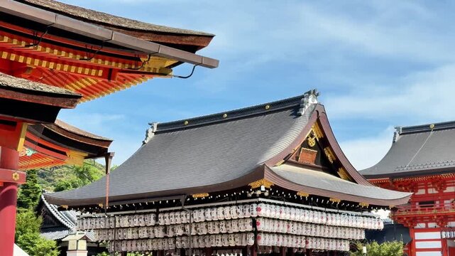 Layered Traditional Japanese Shrine Roofs Under a Blue Sky