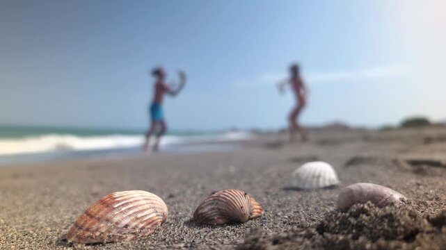 People enjoying playful frisbee on a sunny beach with seashells scattered nearby, embodying leisure and relaxation.