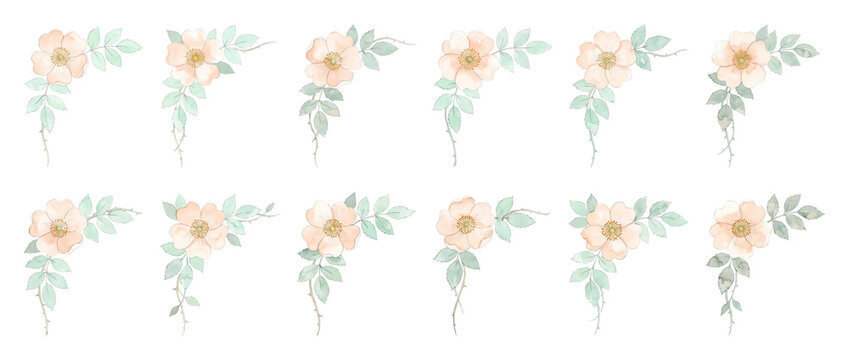 Watercolor flower corner floral border with pink wild rose elements. Hand painted botanical illustration suite for wedding invitation design, elegant greeting cards, and digital art. Black background.