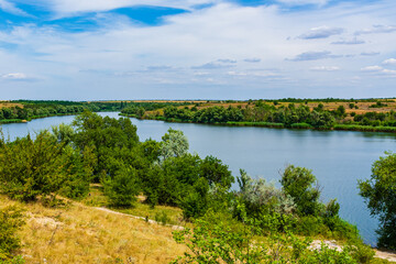 Fototapeta premium Summer landscape with the green trees and river