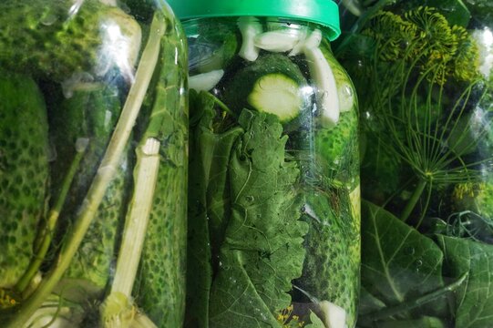 Glass jars filled with homemade pickled cucumbers on a clean background. 