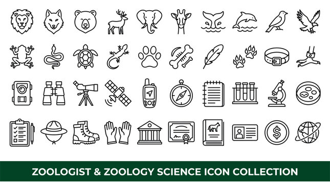 Zoologist and zoology science concept icons with lion, elephant and microscope for mobile app branding in minimal outline style