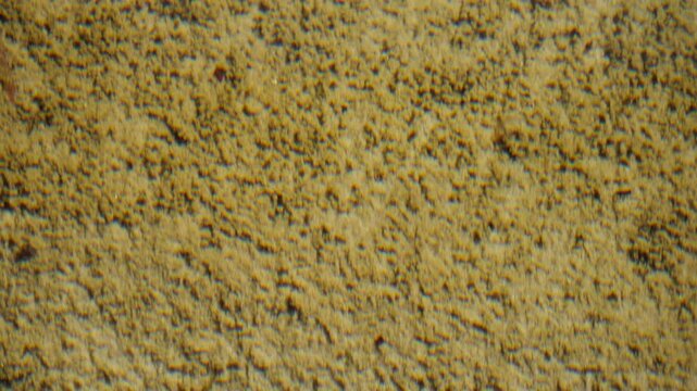 sandy bottom in lake water close up